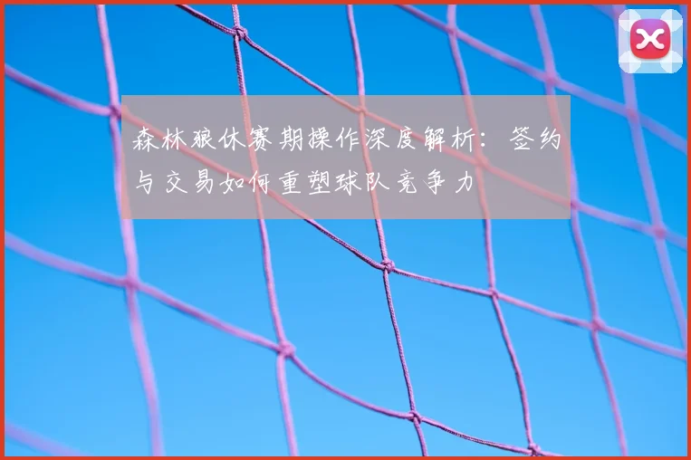 森林狼休赛期操作深度解析：签约与交易如何重塑球队竞争力